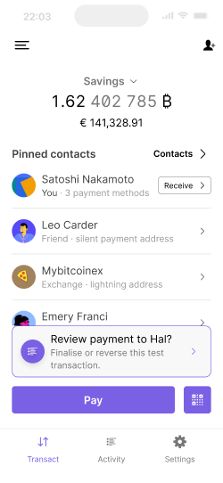 Wallet home screen with amount input, pay and request options
